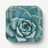 Succulent Closeup Papieren Bordje (Voorkant)