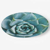 Succulent Closeup Papieren Bordje (Gekanteld)