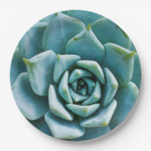 Succulent Closeup Papieren Bordje (Voorkant)