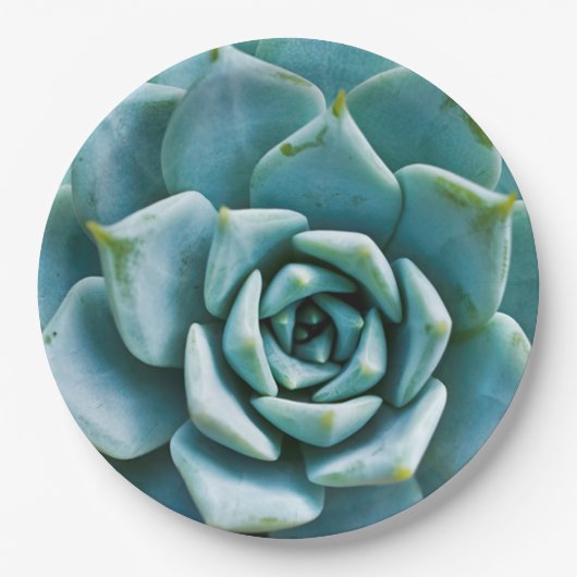 Succulent Closeup Papieren Bordje (Voorkant)