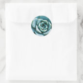 Succulent Closeup Ronde Sticker (Tas)