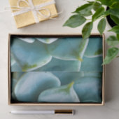 Succulent Closeup Tissuepapier (Geschenk)