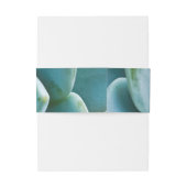 Succulent Closeup Uitnodigingen Wikkel (Achterkant Voorbeeld)