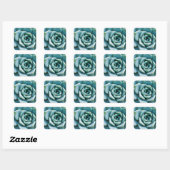 Succulent Closeup Vierkante Sticker (Vel)