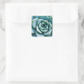 Succulent Closeup Vierkante Sticker (Tas)