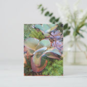 Succulent Container Garden briefkaart (Staand voorkant)
