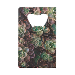 Succulent Creditkaart Flessenopener