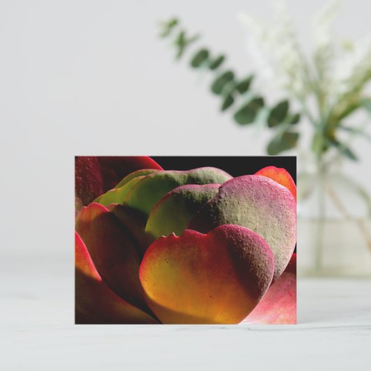 Succulent Desert Plant Briefkaart (Staand voorkant)