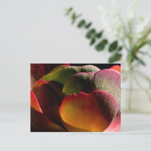 Succulent Desert Plant Briefkaart (Staand voorkant)