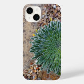 Succulent Desert plant Case-Mate iPhone Case (Achterkant)