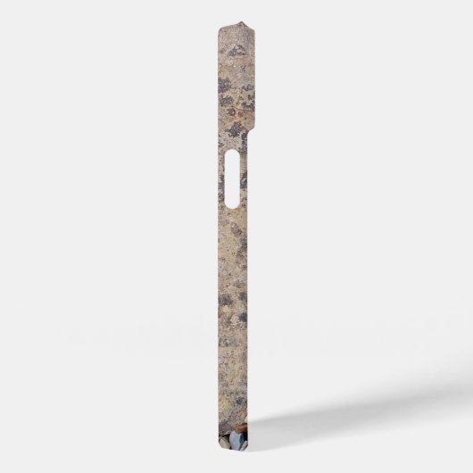 Succulent Desert plant Case-Mate iPhone Case (Achterkant / Rechts)