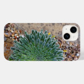 Succulent Desert plant Case-Mate iPhone Case (Achterkant (horizontaal))