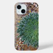 Succulent Desert plant Case-Mate iPhone Case (Achterkant)