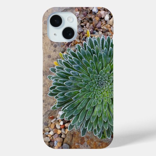 Succulent Desert plant Case-Mate iPhone Case (Achterkant)