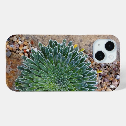 Succulent Desert plant Case-Mate iPhone Case (Achterkant (horizontaal))
