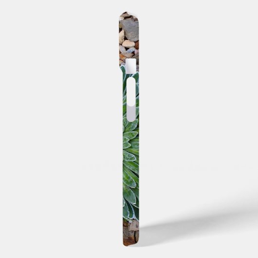 Succulent Desert plant Case-Mate iPhone Case (Achterkant / Links)