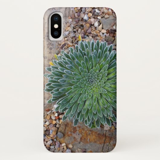 Succulent Desert plant Case-Mate iPhone Case (Achterkant)