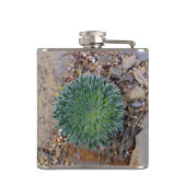 Succulent Desert plant Heupfles (Achterkant)