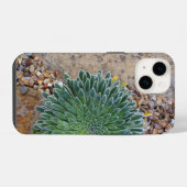 Succulent Desert plant iPhone Hoesje (Achterkant horizontaal)