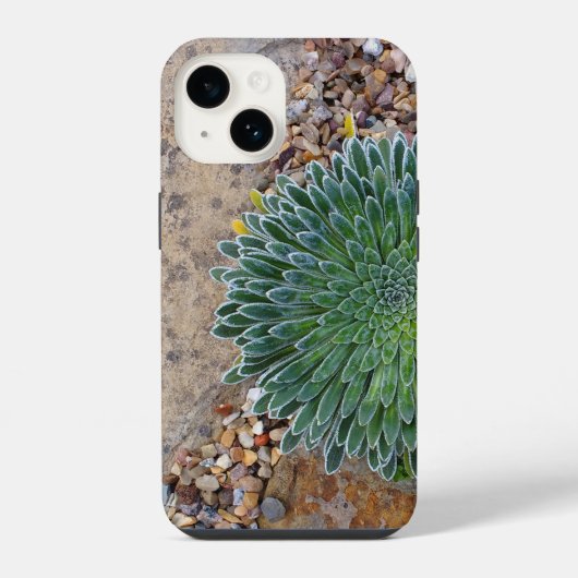 Succulent Desert plant iPhone Hoesje (Achterkant)
