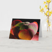 Succulent Desert Plant Kaart (Gele Bloem)