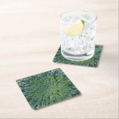 Succulent Desert plant Kartonnen Onderzetters (Insitu)