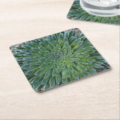 Succulent Desert plant Kartonnen Onderzetters (Schuin)