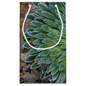 Succulent Desert plant Klein Cadeauzakje (Achterkant)