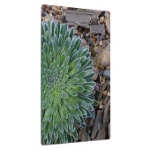 Succulent Desert plant Klembord (Rechts)