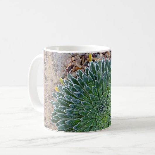 Succulent Desert plant Koffiemok (Voorkant links)