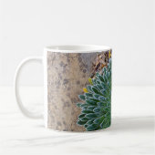 Succulent Desert plant Koffiemok (Links)