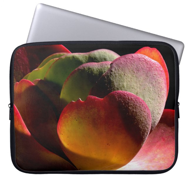 Succulent Desert Plant Laptop Sleeve (Voorkant)