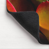 Succulent Desert Plant Muismat (Hoek)