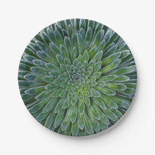 Succulent Desert plant Papieren Bordje