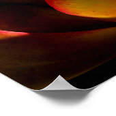 Succulent Desert Plant Poster (Hoek)