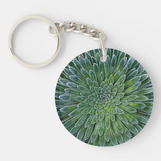 Succulent Desert plant Sleutelhanger (Voorkant)