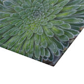 Succulent Desert plant Snijplank (Hoek)