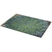 Succulent Desert plant Snijplank (Hoek)