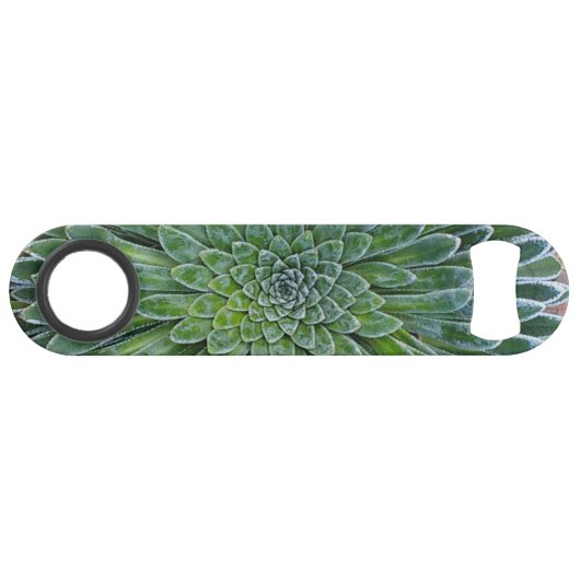 Succulent Desert plant Speed Flessenopener (Achterkant Horizontaal)