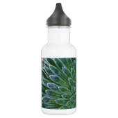 Succulent Desert plant Waterfles (Links)