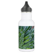 Succulent Desert plant Waterfles (Rechts)