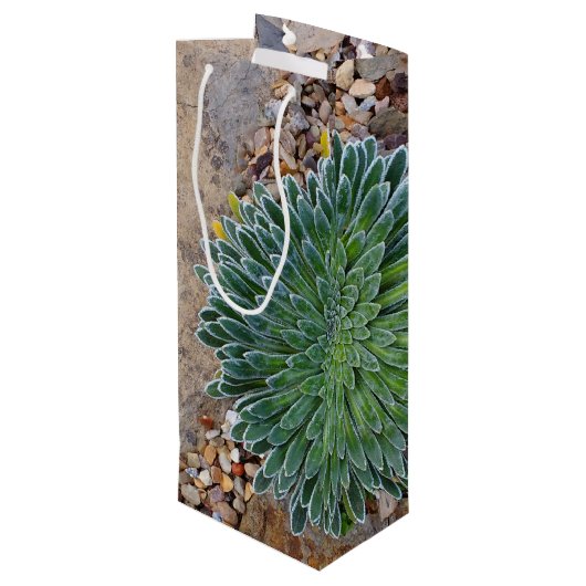 Succulent Desert plant Wijn Cadeautas (Achterkant Gekanteld)