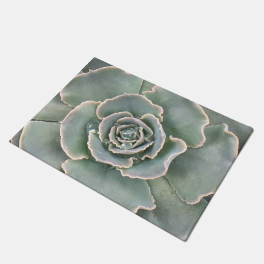Succulent Deurmat (Schuin)