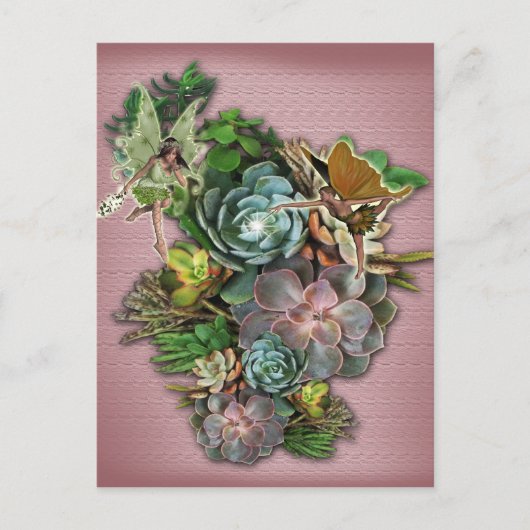 Succulent display op een briefkaart (Voorkant)