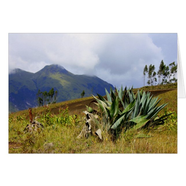 Succulent Ecuador (Voorkant Horizontaal)