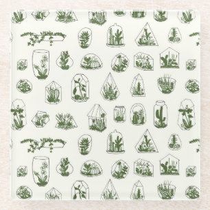 Succulent Florarium: geometrisch ontwerp. Glazen Onderzetter