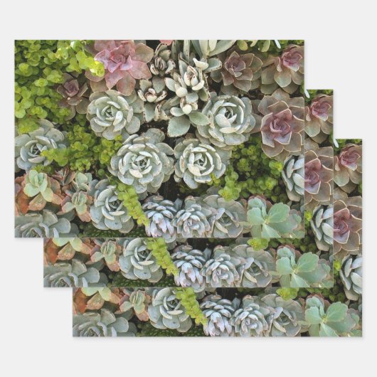 Succulent Garden 1 Inpakpapier Vel (Set)