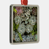 Succulent Garden 1 Metalen Ornament (Rechts)
