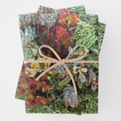 Succulent Garden 2 Inpakpapier Vel (In situ)