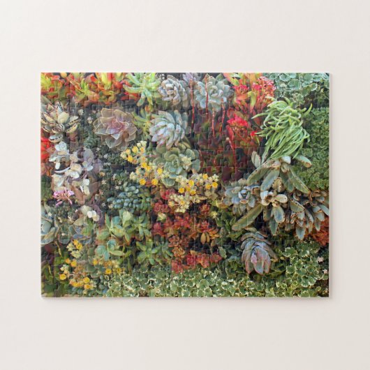 Succulent Garden 2 Legpuzzel (Horizontaal)